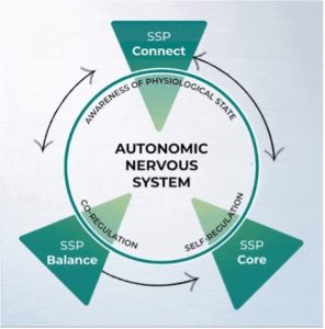 The Safe and Sound Protocol